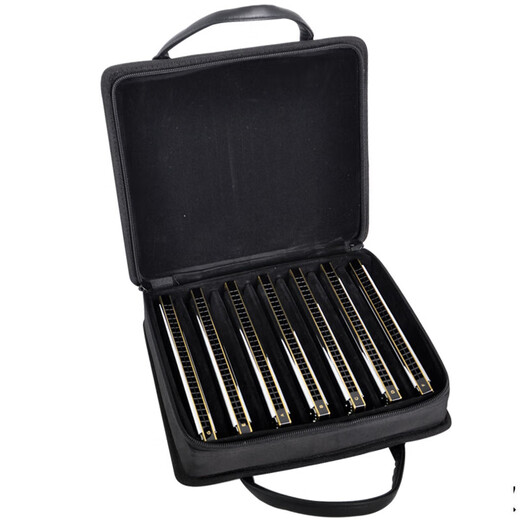 Tombo Tongbao 6624S Japon Original Polyphonic Harmonica Importé 12-Tuning 7-Tuning Set Performance Performance Stage C-Tuning 24 trous 6624p [Niveau de performance haut de gamme] Package 12-Tuning
