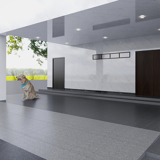Azulejos de patio XMSJ 600x1200 Azulejos de piso al aire libre jardín cuadrado jardín de jardín antideslizante Piso ecológico 12611-White-MA 600*1200 Cerámica de cerámica no incluye transporte