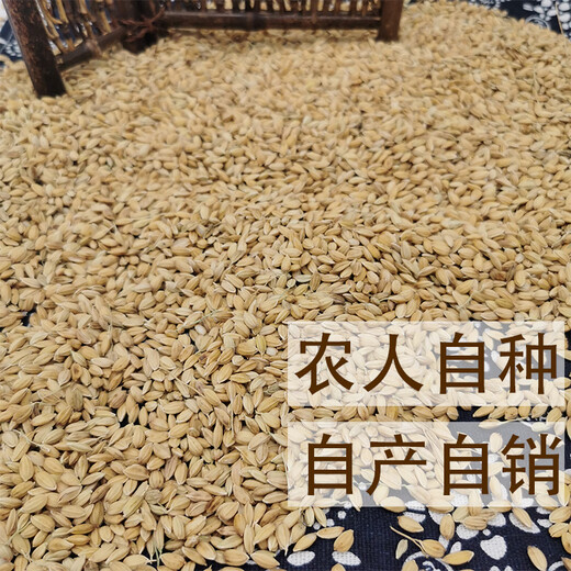 Tea bran, glutinous rice, glutinous rice with shell, glutinous rice with shell, glutinous rice with shell, 500g non-standard customization Jin Jin is equal to 0.5 kg non-standard customization