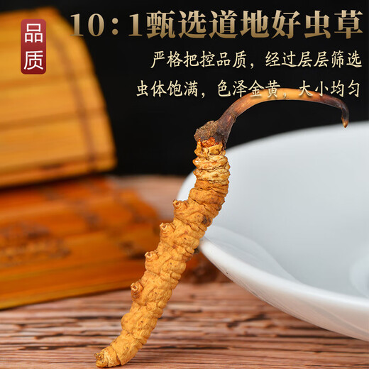 Cordycepss sinensis, 3 кусочки Cordyceps sinensis на грамм сухих товаров Cordyceps Подарки подарки 100 кусочков подарочной коробки