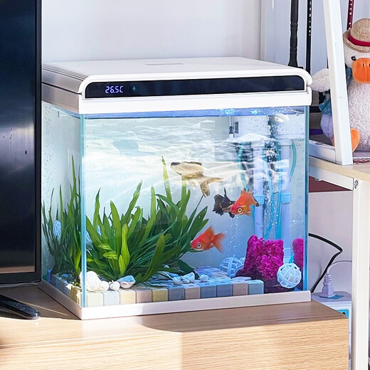 Sensen Fish Tank Living Room Small Desktop Ultra White Glass Home Aquarium Ecological No-Change Water Medium Goldfish Tank Black 380 Ultra White + Landscaping 46 (Built-in Cotton