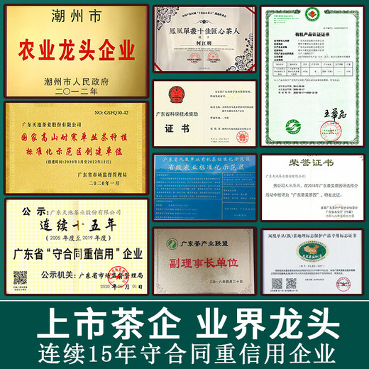 天池茶业1392凤凰单枞宋种 特级名丛 潮州单枞茶 高山有机乌龙茶叶 宋种 100g*1罐