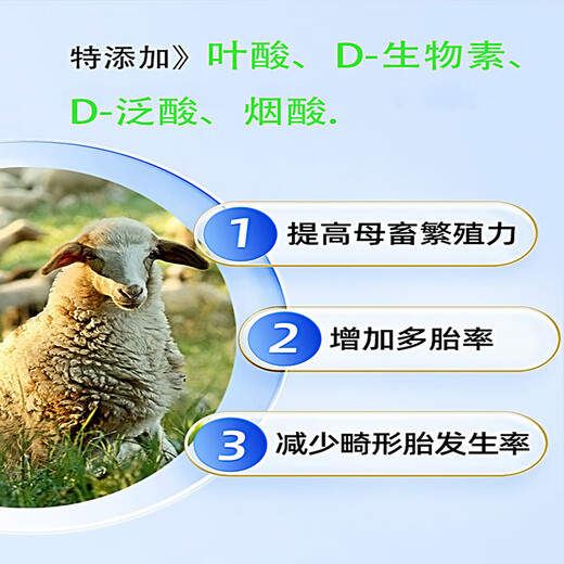 DSM DSM Loviso Ewe Vitamin Premixed Feed 7740 25KG