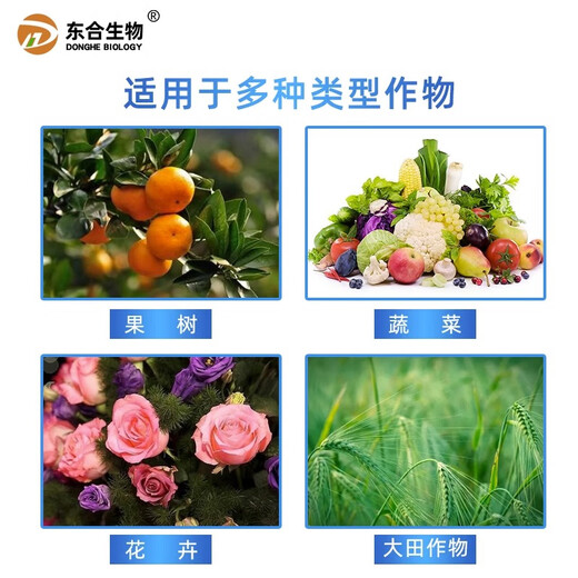 Donghe Biotech 40% Idiosynthetic Pythium Pesticide Fungicide for Fruit Trees, Vegetables, Flowers, Peppers, Citrus and Grape Gray Mold 100g