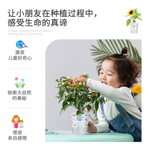 Devodo Impatiens Seed DIY Children's Fun Planting Potted Set Plant Observation Cup Children's Day