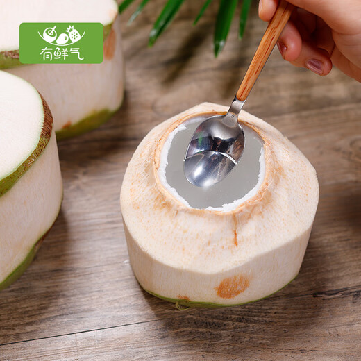 Fresh, selected large fruits, Hainan green coconut, fresh coconuts are picked and shipped to pregnant women to replenish amniotic fluid, healthy fresh coconut water, selected 9 packs (with tools)