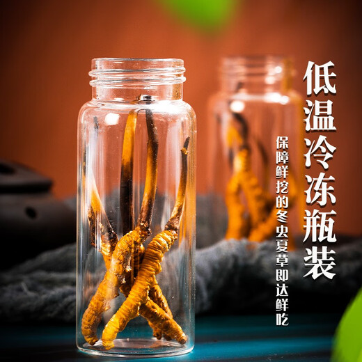 色季拉【新鲜虫草】色季拉 新鲜冬虫夏草 头茬新鲜虫草 高洁净健康滋补 0.8克/根 20根