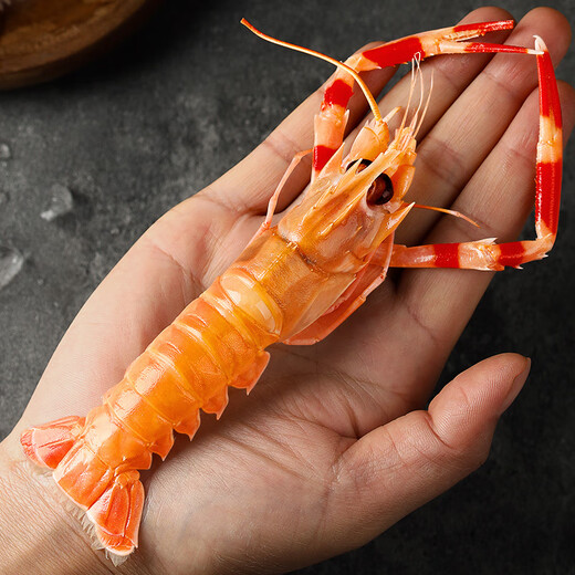 Encounter Fresh Zhoushan Sea Crayfish Seafood Domestic Deep Sea Crawfish Net Content 2Jin Jin equals 0.5kg Size L Directly from the source