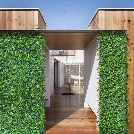 Co-create lawn CCGrass simulated plant wall green plant wall turf indoor and outdoor wall decoration plastic fake flower image background wall Spring Garden 1m*1m