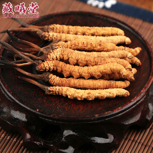 Zangxi hall tibet nagqu cordyceps haute altitude cordyceps cordyceps cordyceps cordyceps 2 1 gram intérieur 100 grammes