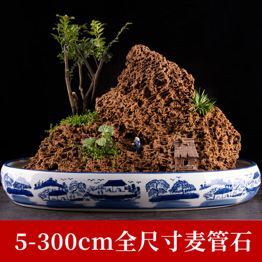 Shiguang Xiaozhan boutique gold straw stone natural water-absorbing stone rockery bonsai stone plant fossil small ornaments straw stone 36-40cm piece