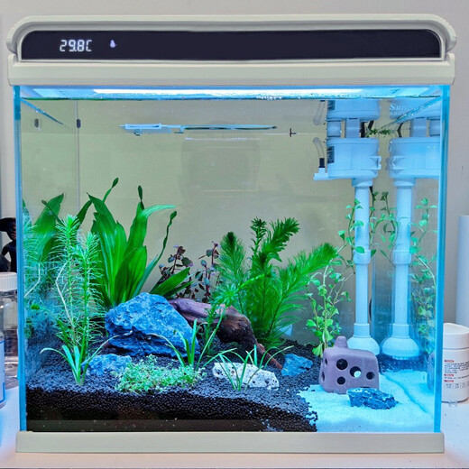 Sensen Fish Tank Living Room Small Desktop Ultra White Glass Home Aquarium Ecological No-Change Water Medium Goldfish Tank Black 380 Ultra White + Landscaping 46 (Built-in Cotton