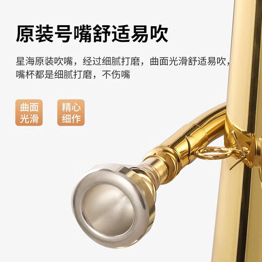 星海抱号 西洋管乐器 专业演奏上低音号扁键降Bb调 B调上低音号XEH-110