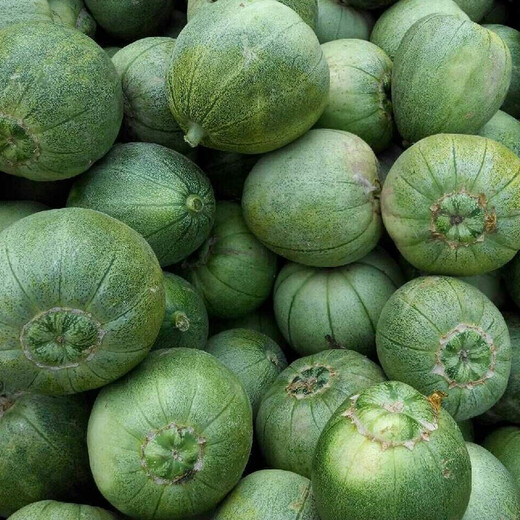 Zhongke Maohua Fruit Seed Green Melon Seed Emerald South Korea Emerald Jade Green Skin Green Flesh Melon Seed South Korea Emerald 50 capsules/bag Trial Pack Dark Green Skin