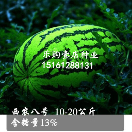 Chunzhiyun four-season watermelon seeds early-maturing giant sweet king seedless unicorn watermelon seeds fruit seeds Green Dragon Overlord original