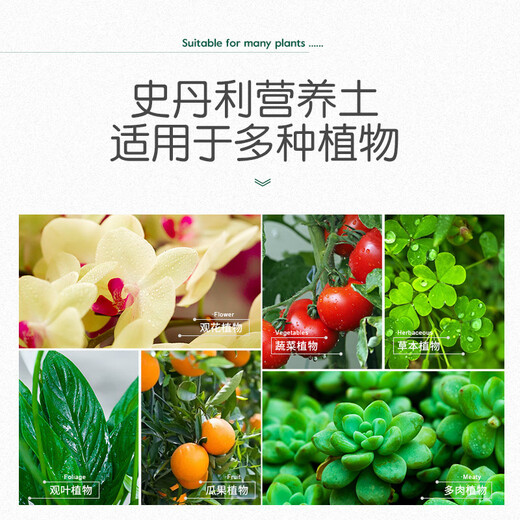 Stanley flower soil nutritional soil flower cultivation universal succulent orchid special vegetable planting flower pot household peat soil planting 6L