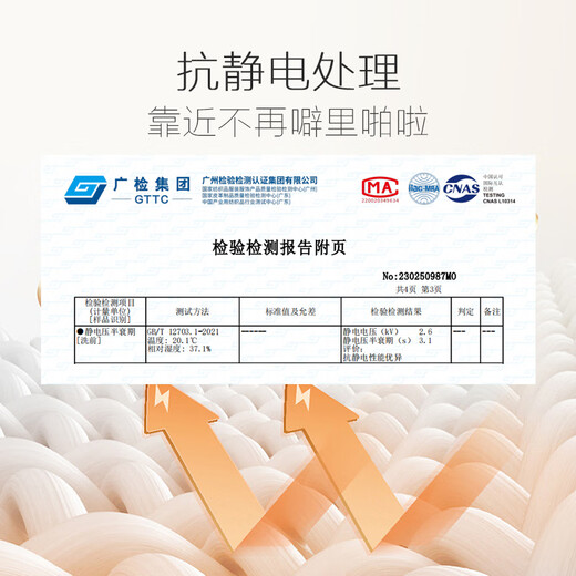 Luolai Home Textile Blanket Thick Flannel Blanket Office Home Nap Air Conditioning Blanket Class A Super Soft Marshmallow Dodo Fleece Blanket Purple 180*200cm