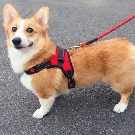 Five-tailed dog leash, dog leash, vest-type dog walking rope, harness, Corgi Shiba Inu medium and large dog chain, red harness + 1.5 meter leash S (recommended 10-18 Jin Jin equals 0.5 kg)