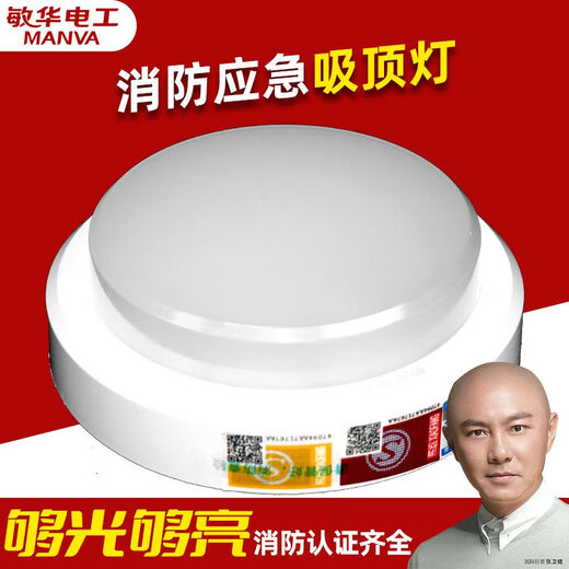 Man Wah Electrician Man Wah Fire Emergency Evacuation Lighting Surface Mounted Ceiling Light Aisle Corridor Light LED Corridor Light Emergency Lighting 220V-Man Wah 150mm Direct Emergency Ceiling Light