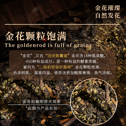 Yulon Quanjingyang Fu Tea Yuanshun Yulon Quan Xi'an Impression Blue Card Golden Flower Fu Tea Black Tea Fu Brick Tea Shaanxi Specialty Yulon Quan Xi'an Impression 900g