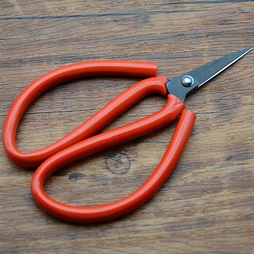 Маленькие ножницы для резки бумаги Miaojixing для студентов, высококачественные художественные ножницы ручной работы, бытовые многофункциональные остроконечные ножницы, маленькие ножницы для резки бумаги № 5, одна пара