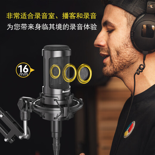 Burren Bell BL-500 condenser microphone audiobook recording equipment professional anchor recitation dubbing broadcast set recording studio grade BL-500 microphone standard