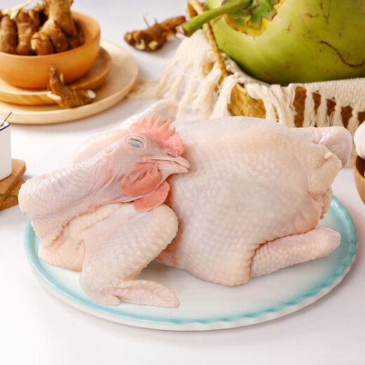 Tan Niu Hainan Wenchang Chicken Hen Chicken Nuggets 2Jin Jin is equal to 0.5kg Native Chicken Frozen Ecological Free Range Coconut Chicken Breakfast Ingredients
