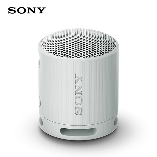 Sony (SONY) SRS-XB100 Haut-parleur Bluetooth Mini caisson de basses portable 16 heures d'autonomie Haut-parleur extérieur étanche et anti-poussière Gris Cadeau