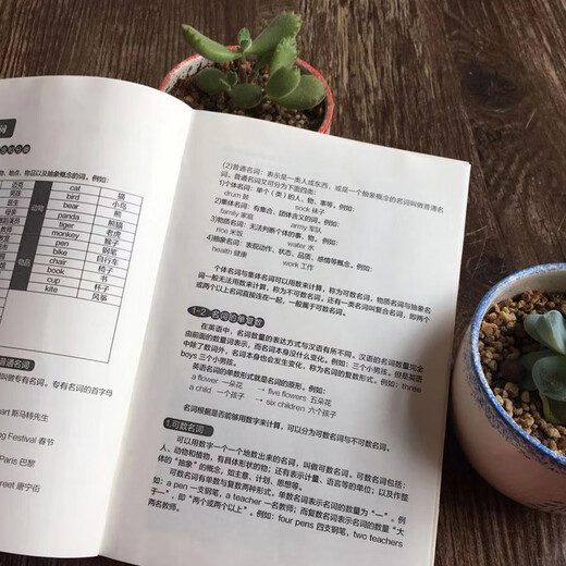 Lernen Sie die englische Grammatik in 28 Tagen. Englische Grammatik. Einführung in das Selbststudium der englischen Sprache