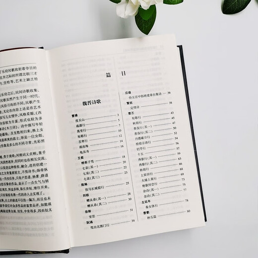 魏晋南北朝诗歌鉴赏辞典