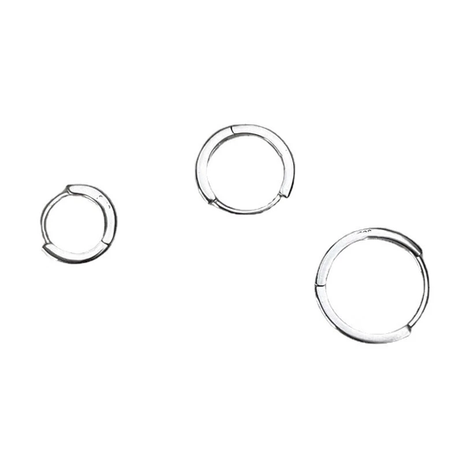 Decorative show, high-end earrings, earrings, ear bone nails, ear piercing niche, high-end plain circle earrings, earrings, earrings, women's silver earrings 10mm pair