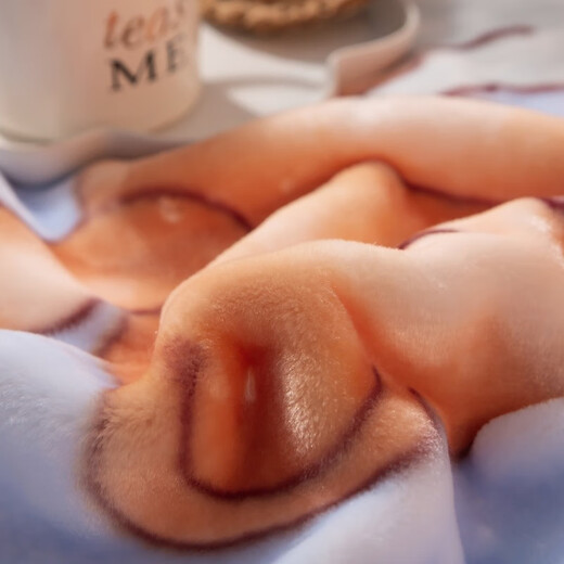 Antarctic children's baby blanket double-layer thickened baby blanket kindergarten quilt autumn and winter nap coral velvet blanket double-layer thickened cloud blanket-Snow Bear 110*140cm without gift bag