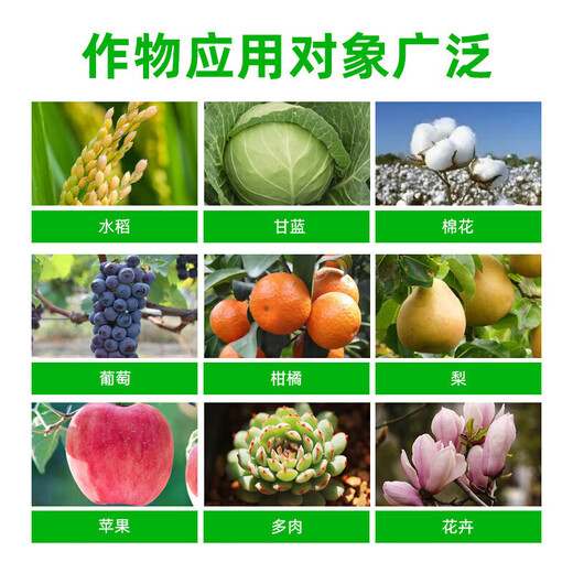 Guoguang Pesticide Naphthalene Acetate Plant Growth Regulator Flower Preservation and Fruit Preservation Medicine Prevent Fruit Falling Fruit Tree Flower and Fruit Treasure 100ml