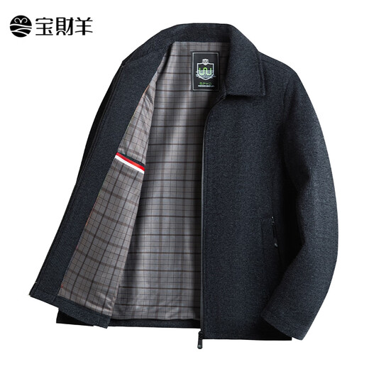 Baocai Sheep Dad's Woolen Jacket Men's Spring and Autumn Lapel Thick Business Cadre Service Executive Jacket Middle-aged and Elderly Clothes