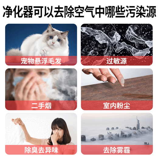 安德迈（admair）除过敏源宠物吸浮猫毛发空气净化器家用除臭尘去异味净化机 除过敏原吸毛净化器 升级款
