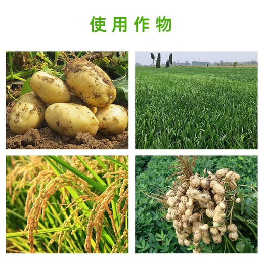 Quanfeng Spida 5% Prohexadione Calcium Wheat, Rice, Peanut, Potato Growth Control Agent Plant Growth Regulator 20g 1 Bag