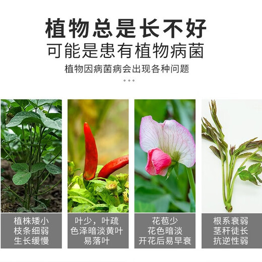 Zhongnong Chemical Compound Fertilizer Flower Fertilizer Flower Vegetables and Fruit Trees Potted Plants Universal Three-Yuan Nitrogen, Phosphorus and Potassium Fertilizer Agricultural Fertilizer Organic and Inorganic Compound Fertilizer 13-15-7 2 Jin Jin equal to 0.5 kg Packed with free spoon