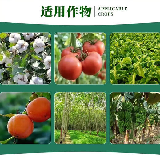 Ethephon plant growth regulator pesticide ethylene agent ethephon banana ripening agent persimmon ripening agent 100g*10 bottles