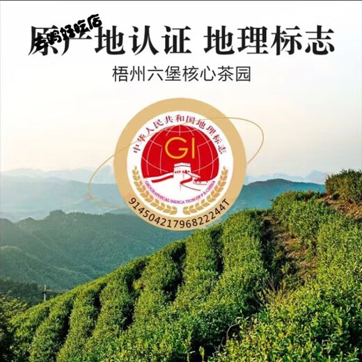 Wei Ting Liubao Tea Liubao Tea Wuzhou Guangxi Aged Twenty Years Old Fragrance Gift Box Twenty Years Old Liubao Canned 2002