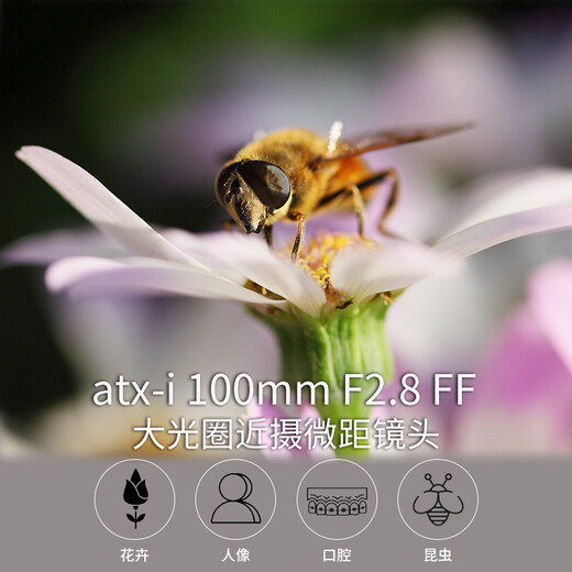 TOKINA atx-i 100mm F2.8FF MACRO full-frame SLR camera macro lens autofocus adjustable large aperture black Canon EF mount