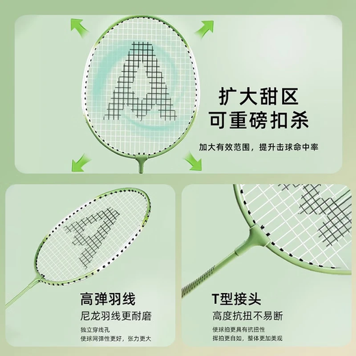 得力（deli）羽毛球拍套装初学者入门级成人专业耐打羽毛拍女生合金超轻正品 尊贵专业级 贈尼龙球3个