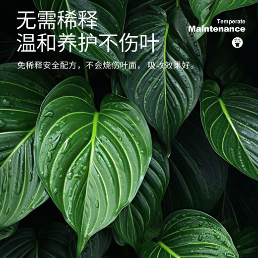 Green Pan Plant Nutrient Solution Universal Dilution-Free Indoor Flower Fertilizer Green Plant Potted Plant Concentrated Spray Dead Leaves Yellow Leaves Rotten Roots