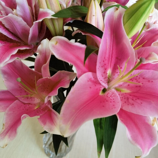 Yunnan Kunming base direct hair festival water-raised flowers bouquet perfume lily life flowers and flowers 10 red lilies (collection of preservatives)