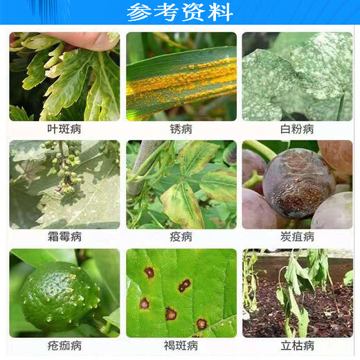 Senhuo Qingmiao 45% ethyl tebuconazole garden lawn scab black spot anthrax leaf spot powdery mildew pesticide fungicide