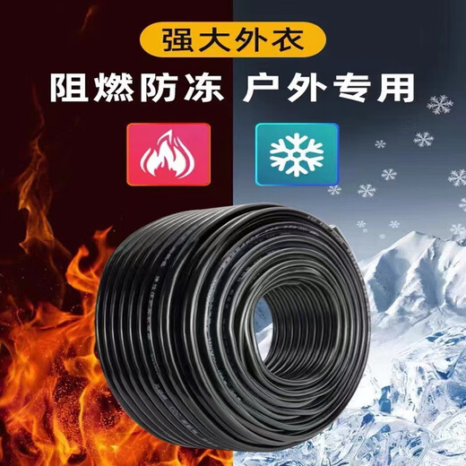 Câble standard national RVV, 2 cœurs, 3 cœurs, 1,5, 2,5, 4, 6 mètres carrés, câble triphasé, ligne d'extension extérieure, norme nationale, 2 cœurs