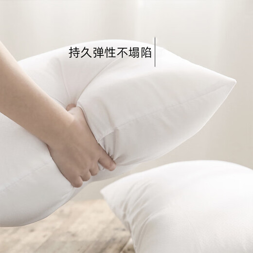 Fan Ye's pillow core liner sofa cushion core 45*45cm car square cushion core bedside office pillow core