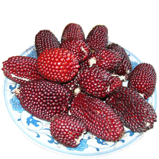 Strawberry, fruit, corn seeds, pineapple and corn seeds, complete collection of ornamental vegetables for field planting in all seasons, wholesale of corn seeds, red strawberry corn/10 original grains