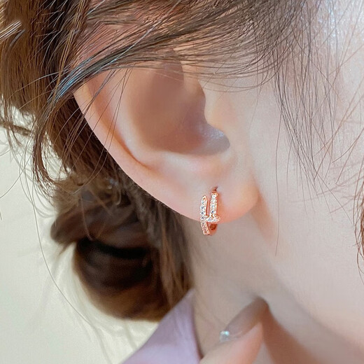 Warme Farben French niche pure silver earrings silver needle rose gold nail earrings unique ear buckle commuter earrings female birthday gift rose gold nail earrings