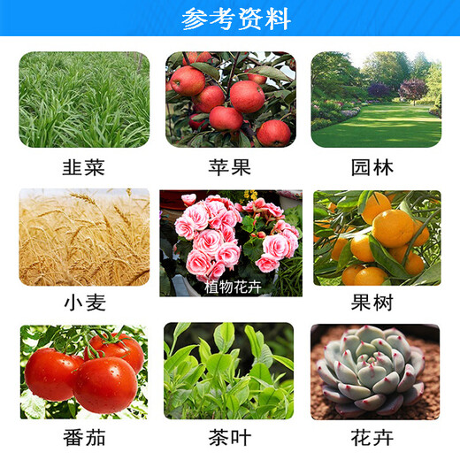 Senhuo Jiayun 24 epi-brassinolide lactone garden seedling lawn flower-inducing cytokinin growth regulator