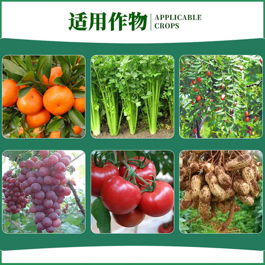 0.1% Triacontanol Pesticide Plant Growth Regulator for Fruit Trees, Field Vegetables and Crops 500g*1 Bottle